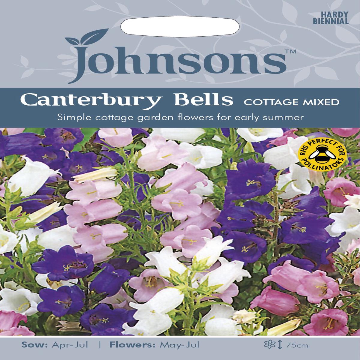CANTERBURY BELLS Cottage Mix **