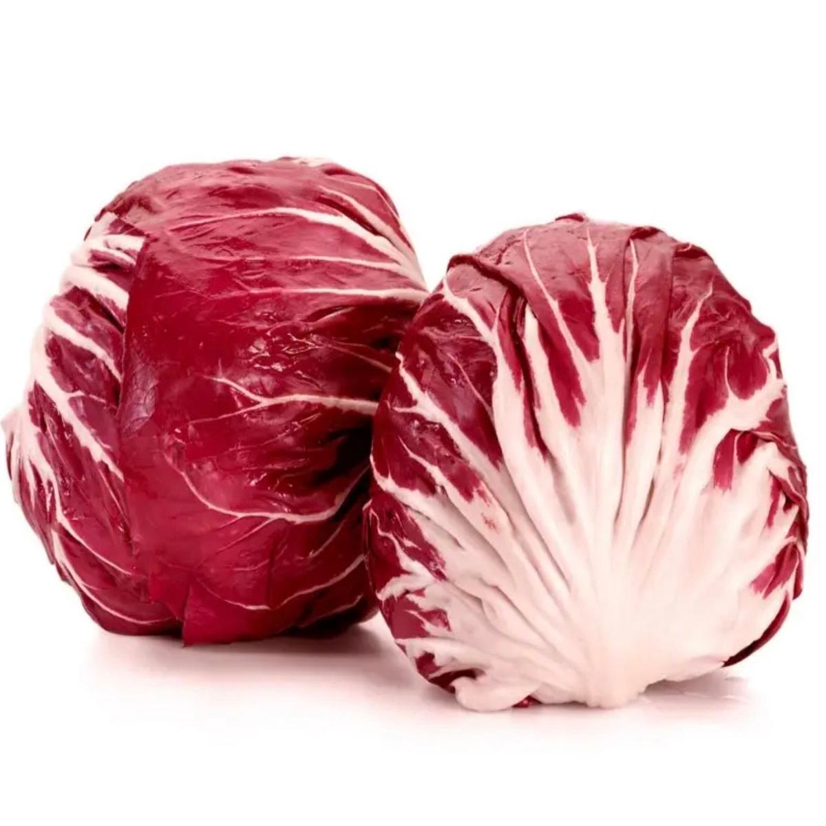 Cichorium intybus var. foliosum 'Red Ball Verona Chicory' SEEDS