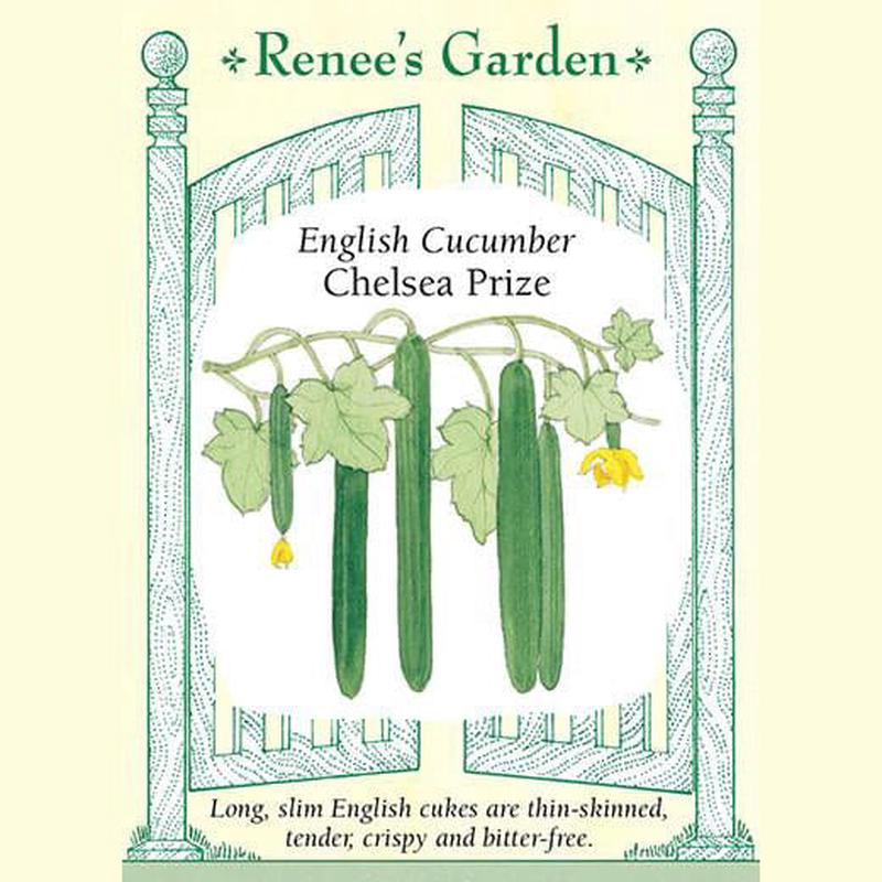 Cucumber Chelsea Prize - Renee's Garden