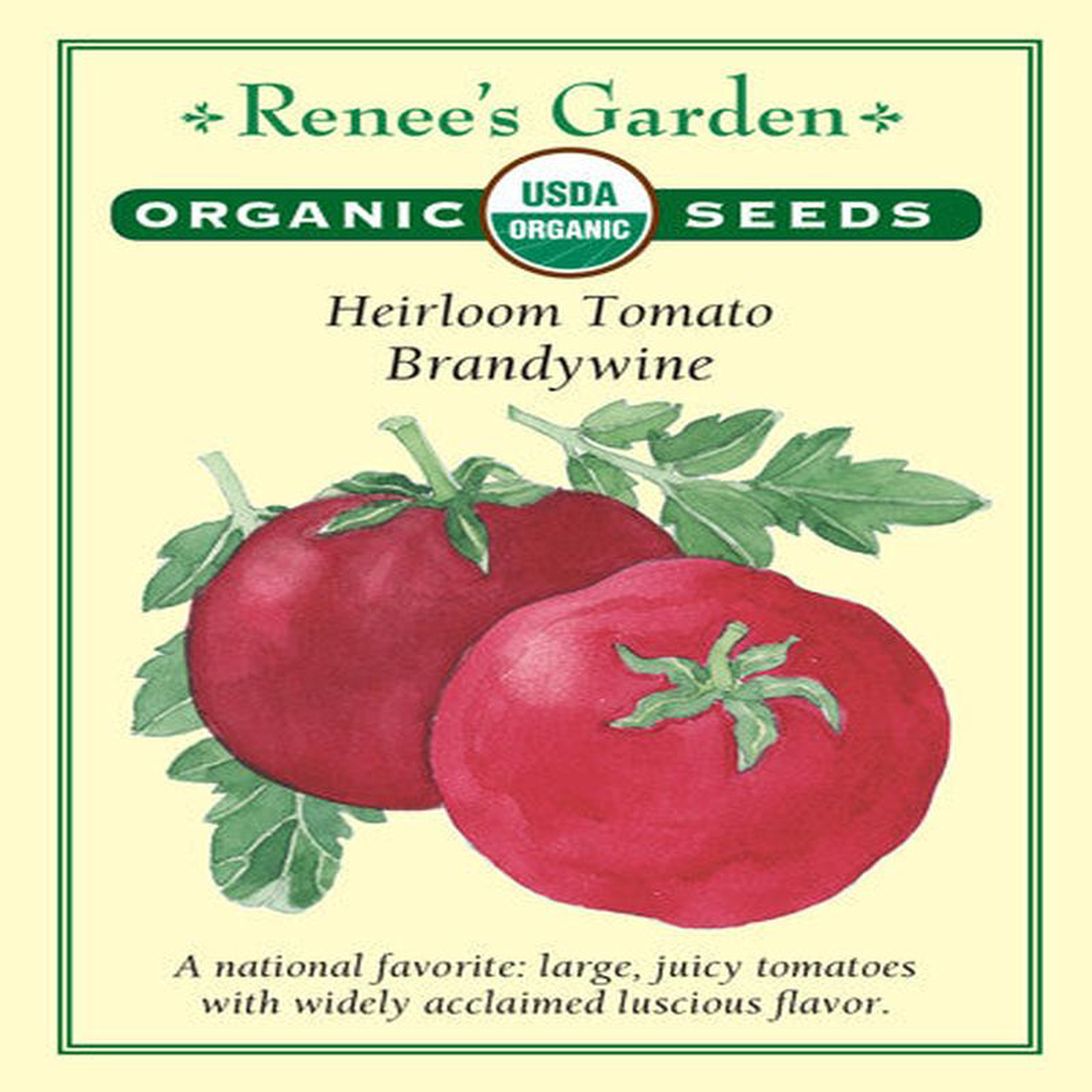 Organic Tomato Brandywine 8211 Renee8217s Garden