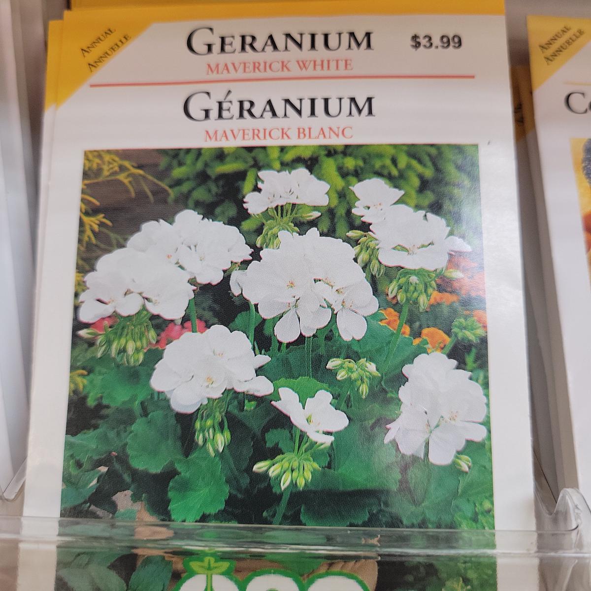 Seed - Annual (Geraniums) - Maverick Mixed