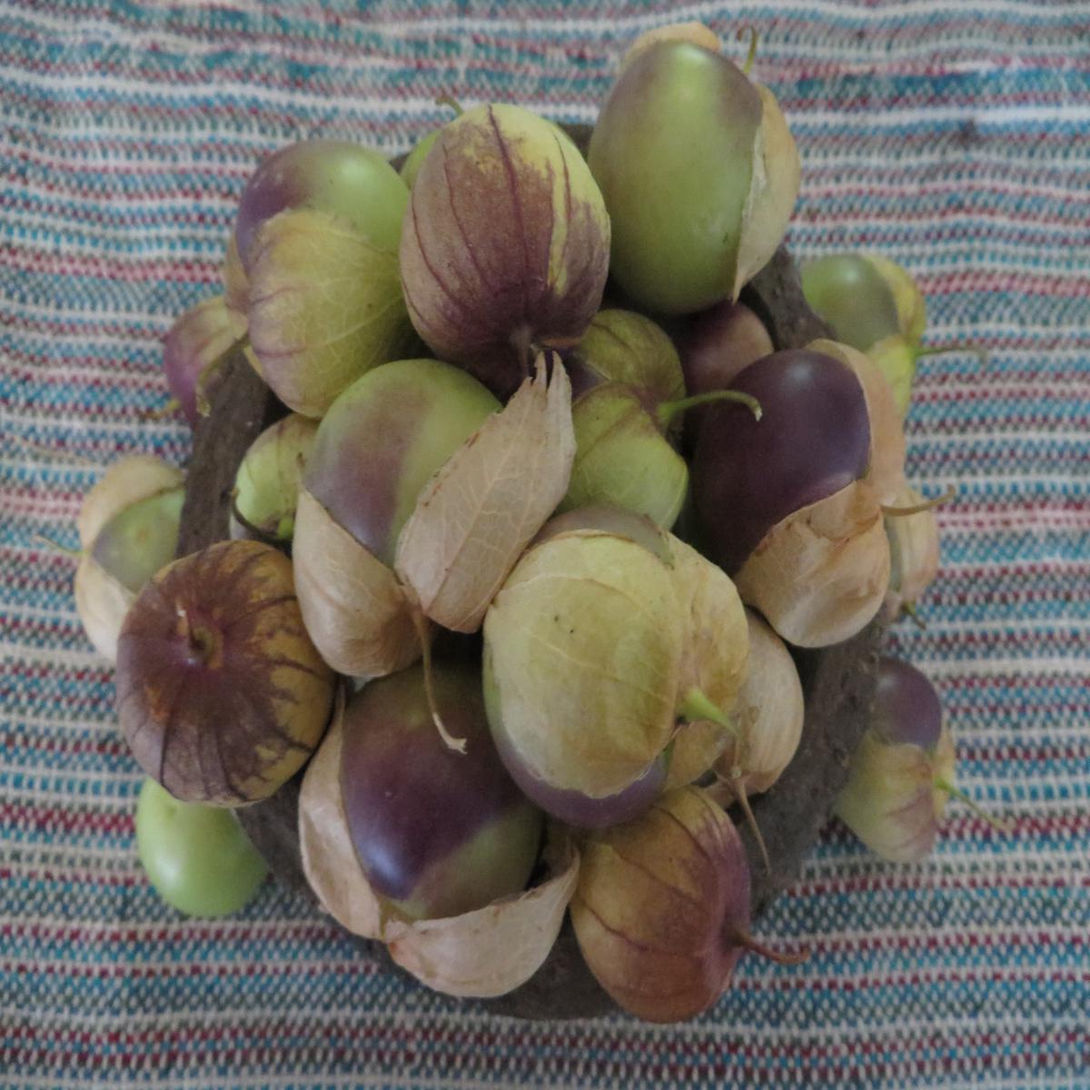 Tomatillo, Purple de Milpa