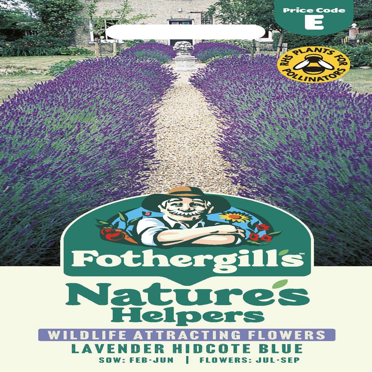 Fothergills Nature Haven - Lavender Hidcote Blue Seeds