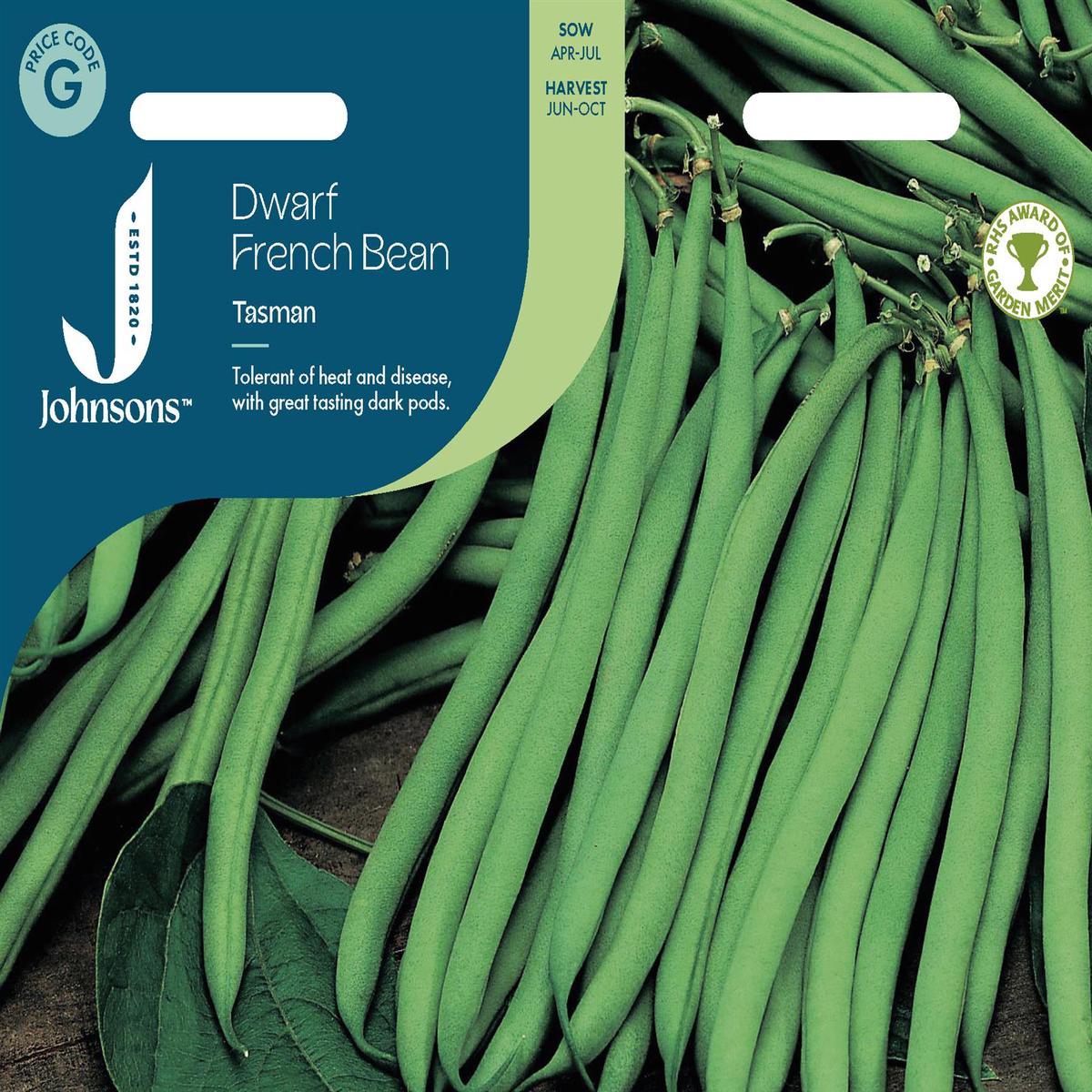 Johnsons - Dwarf French Bean Tasman - 100 Seeds