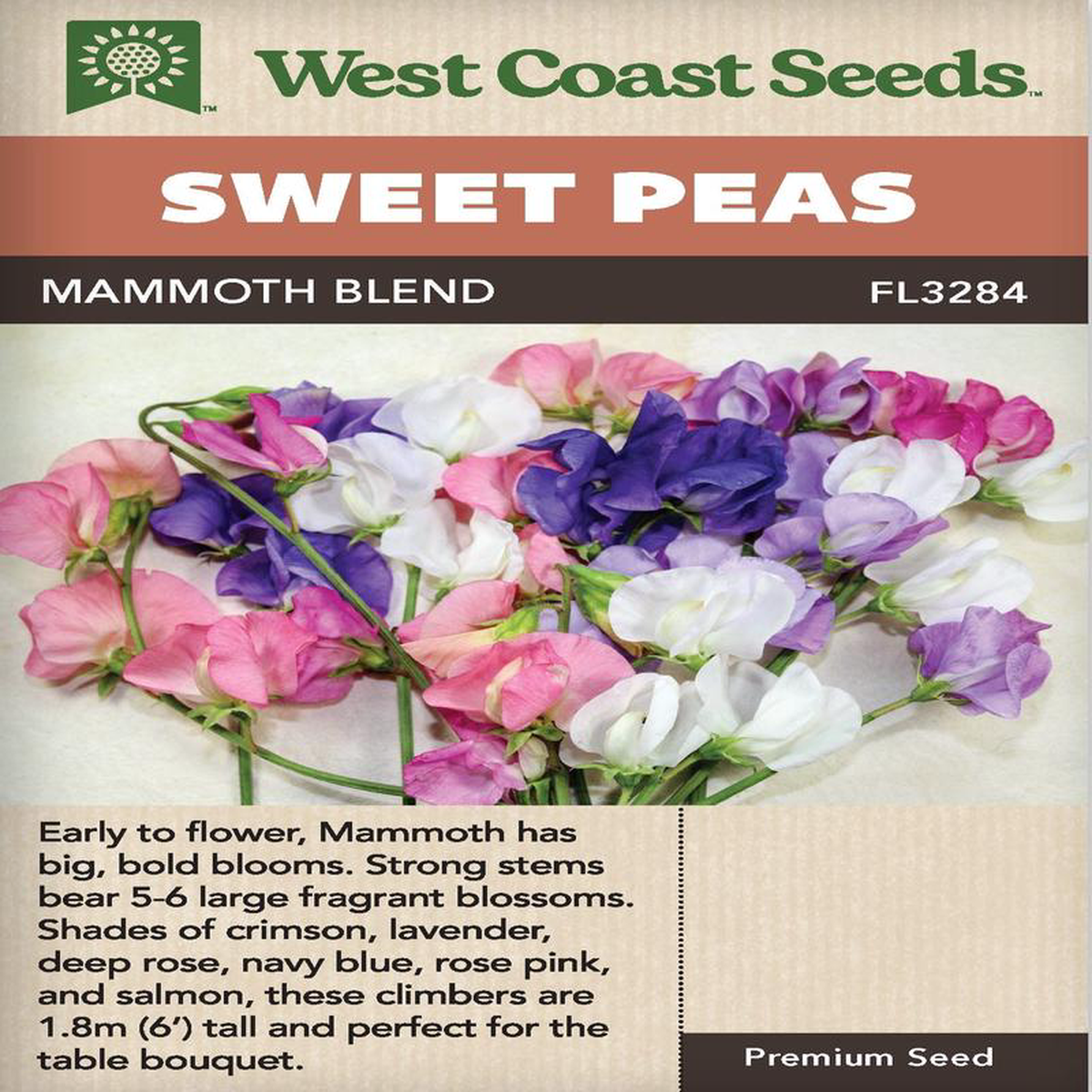 Sweet Peas Mammoth Blend 8211 West Coast Seeds