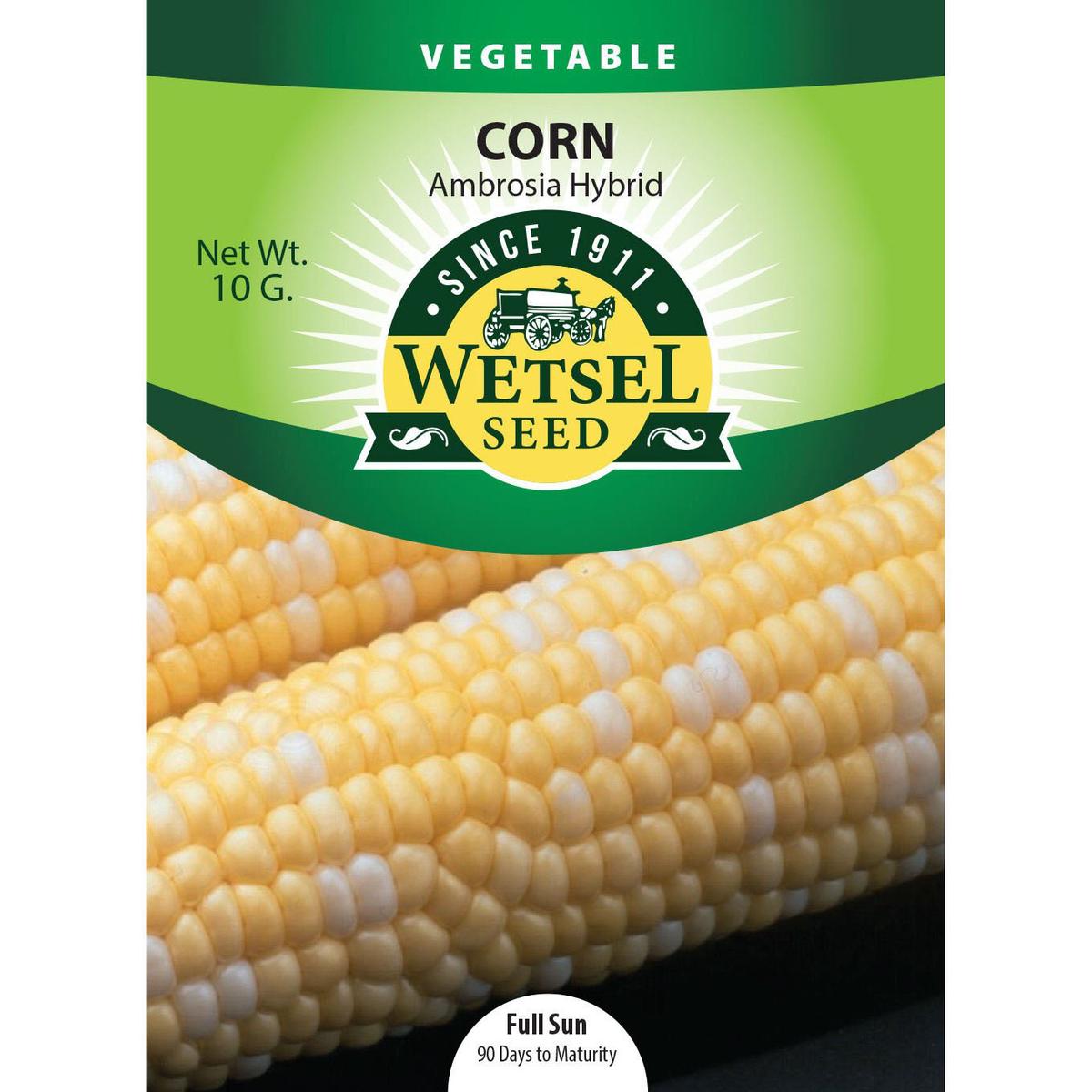 Wetsel Seed Hybrid Ambrosia Corn Seed