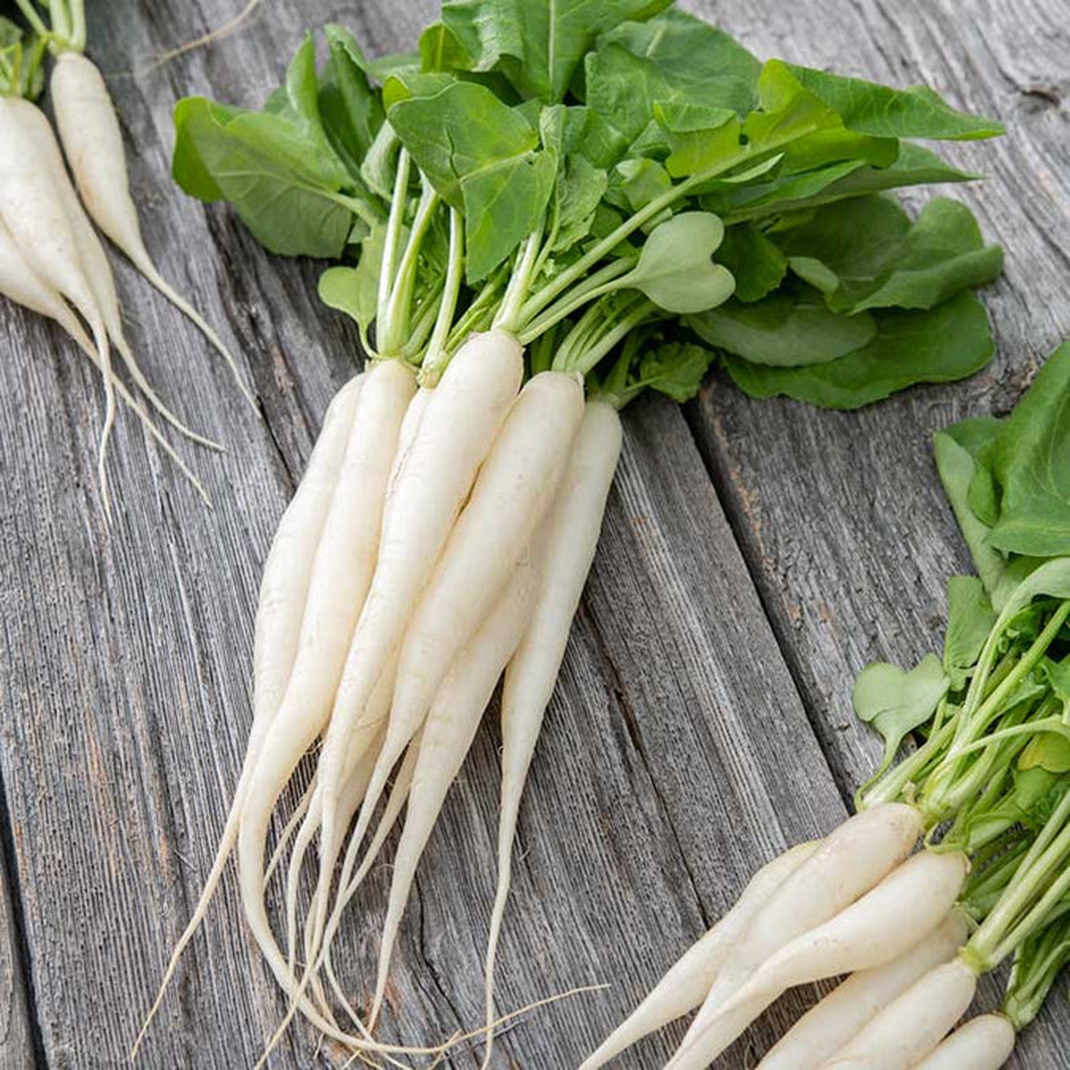 400pcs White Icicle Radish Seeds Fast-Growing Heirloom Vegetable for Crisp, Mild Flavor Ideal for Garden or Container Planting