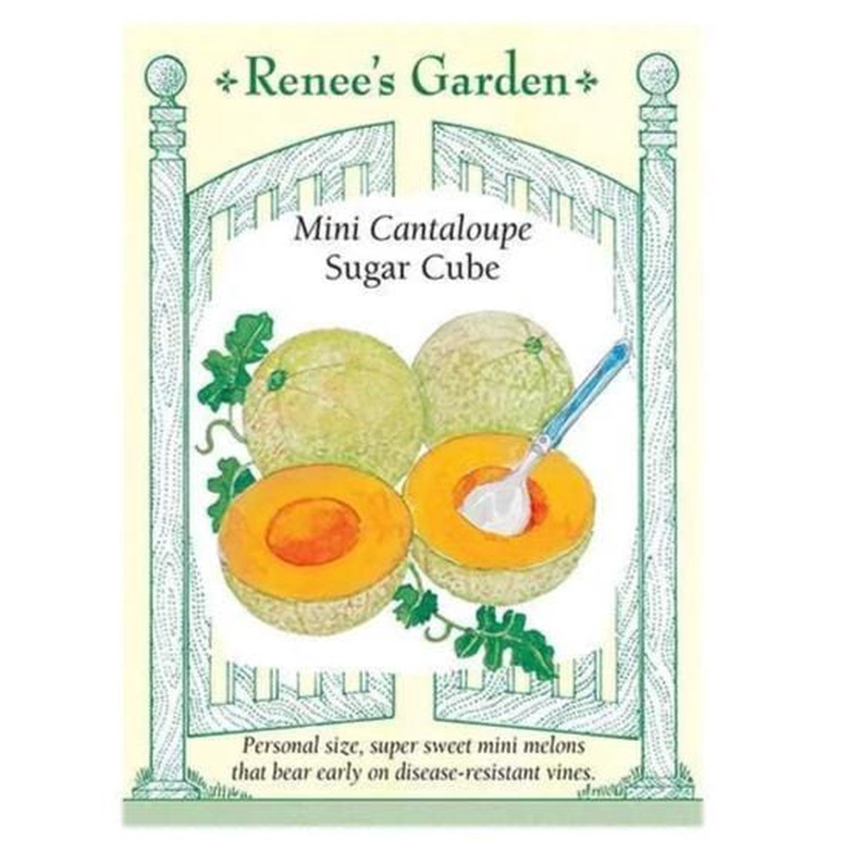 Cantaloupe Sugar Cube - Renee's Garden