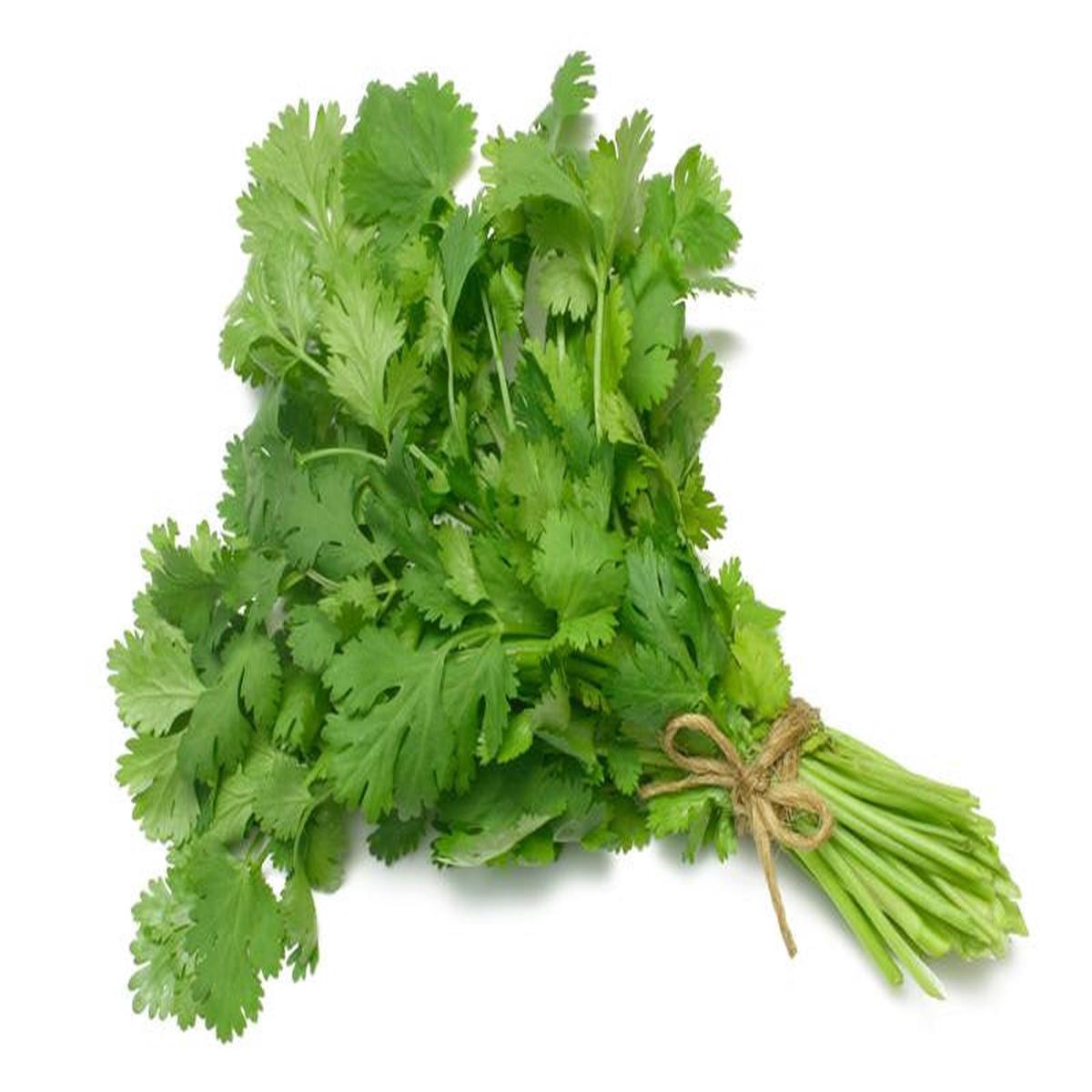 Coriander/ Cilantro - Bulk Herb Seeds - 100 grams