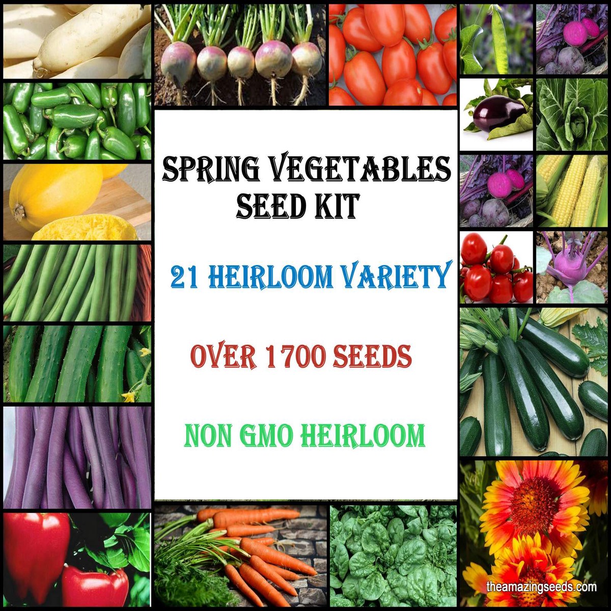 Spring vegetable Seed Kit, 21 varieties, 1700+ Seeds, Heirloom, Non GMO, Wonderful Gift