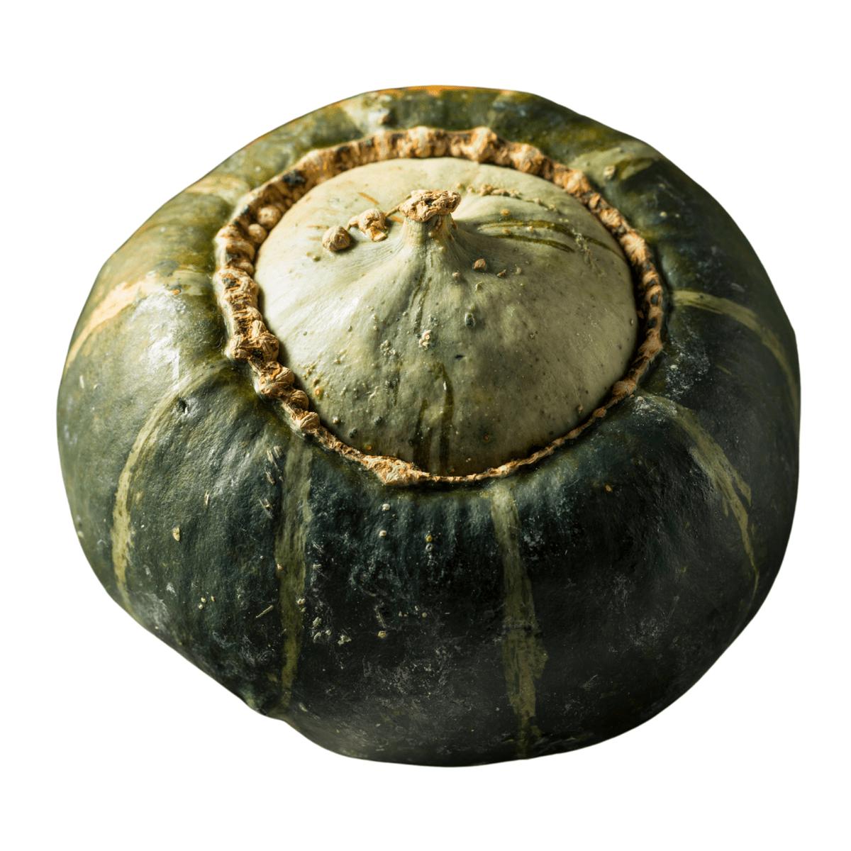 Squash Burgess Buttercup Seeds | OSC Seeds