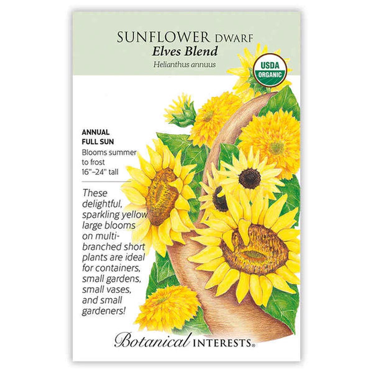 Sunflower seeds 'Dwarf Elves Blend'