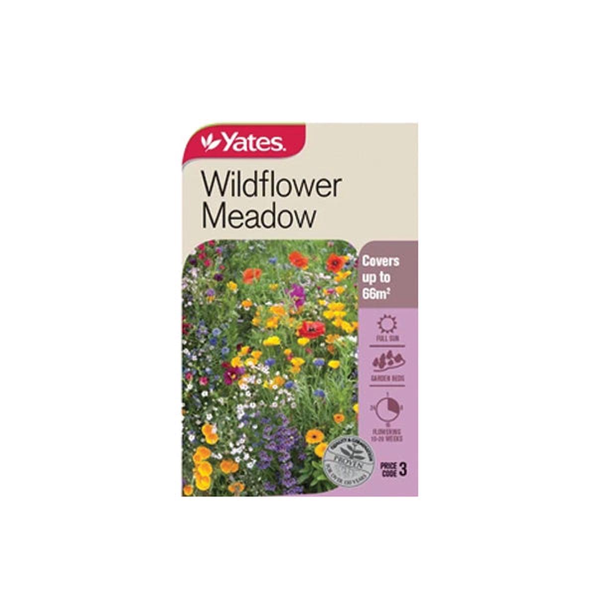 Wildflower Meadow