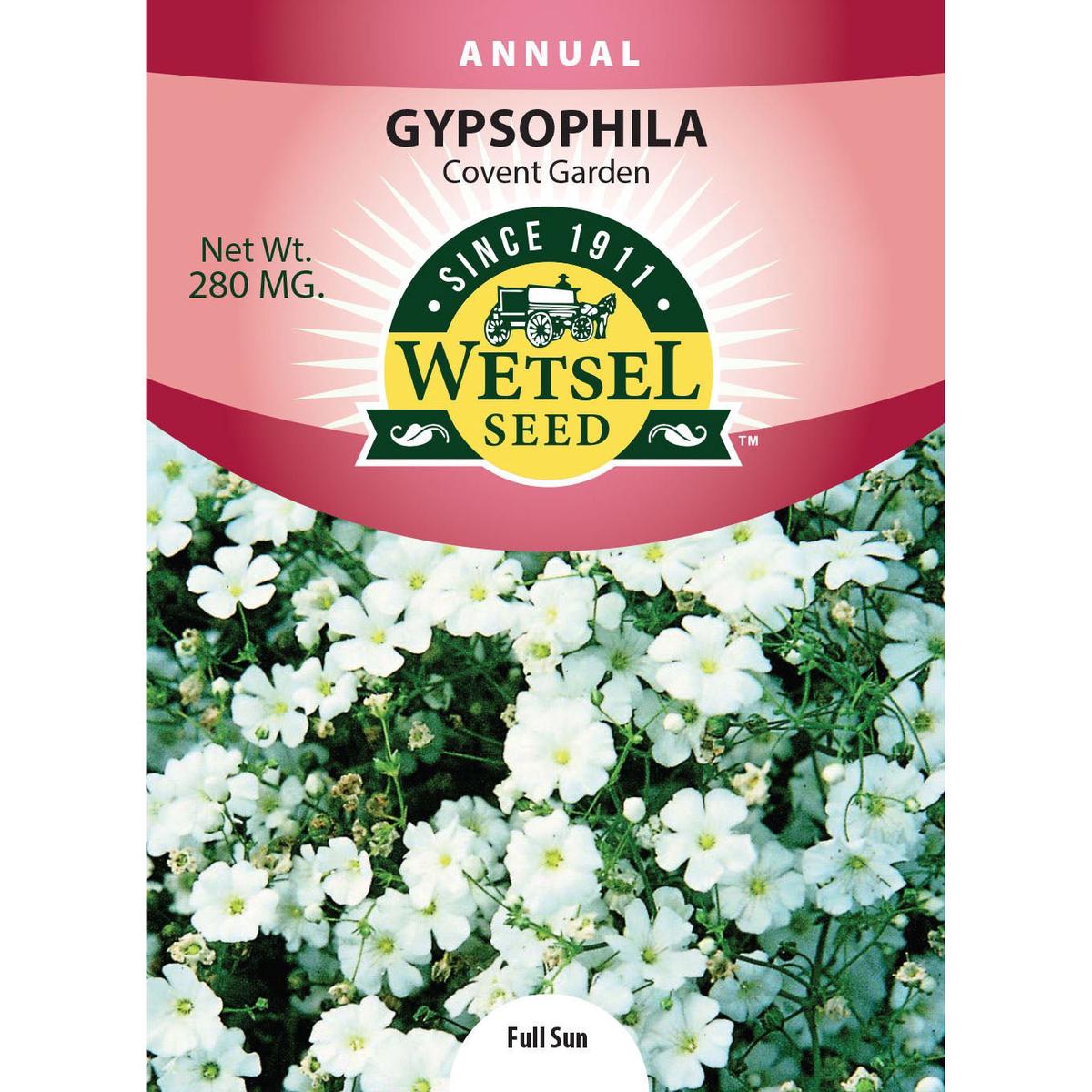 Wetsel Seed Gypsophila Covenant Garden Seed
