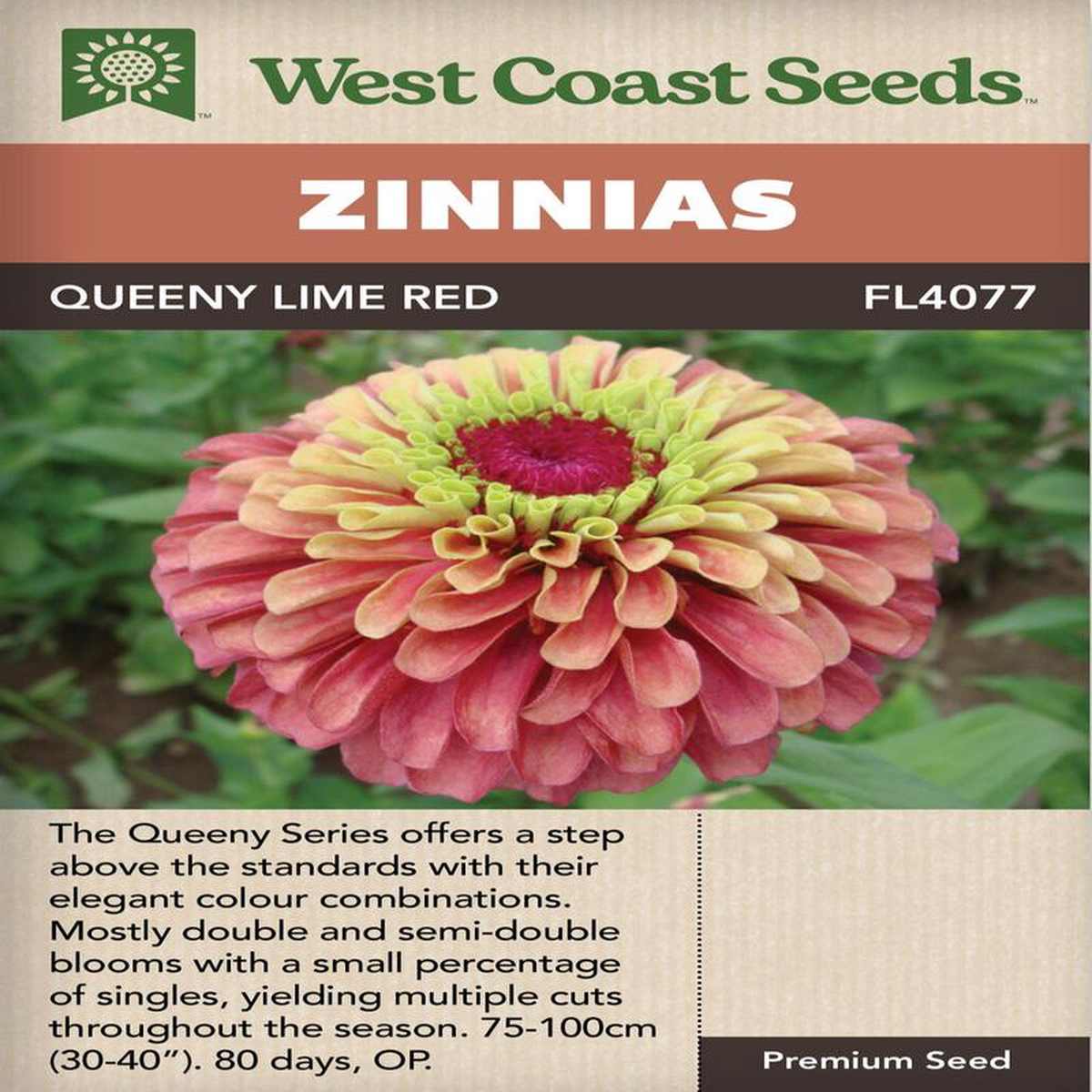 Zinnia Queeny Lime Red 8211 West Coast Seeds