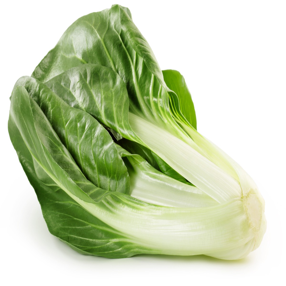 250 BARESE SWISS CHARD White Rib Perpetual Spinach Beta Vulgaris Vegetable Seeds