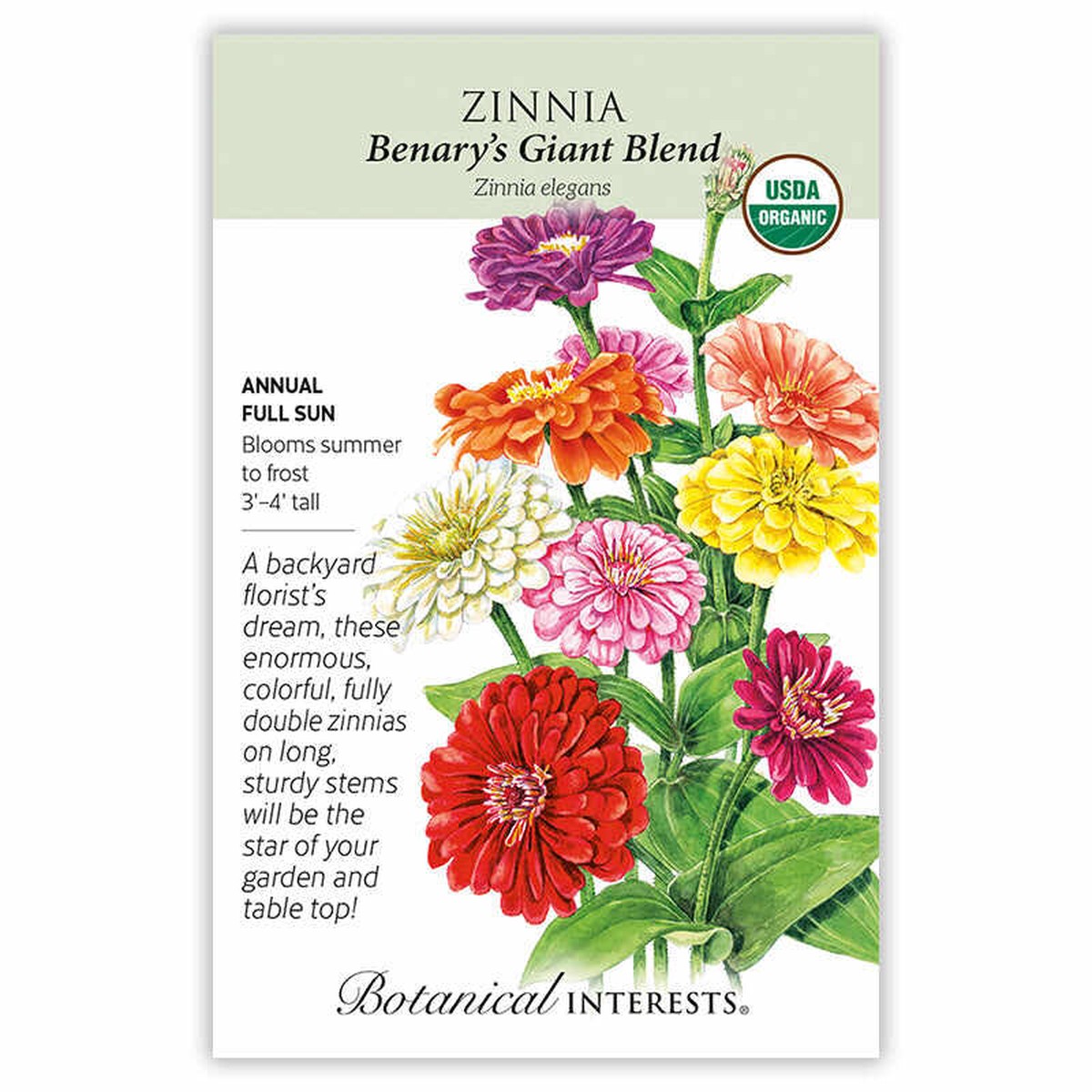 Zinnia seeds, "Benary's Giant Blend"