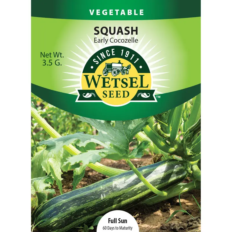 Wetsel Seed Early Cocozelle Squash Seed Packet