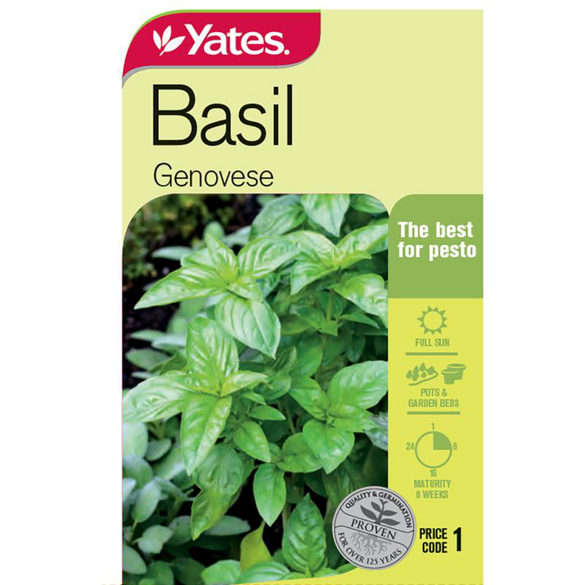 Yates Herb Seed Basil 8216Genovese8217