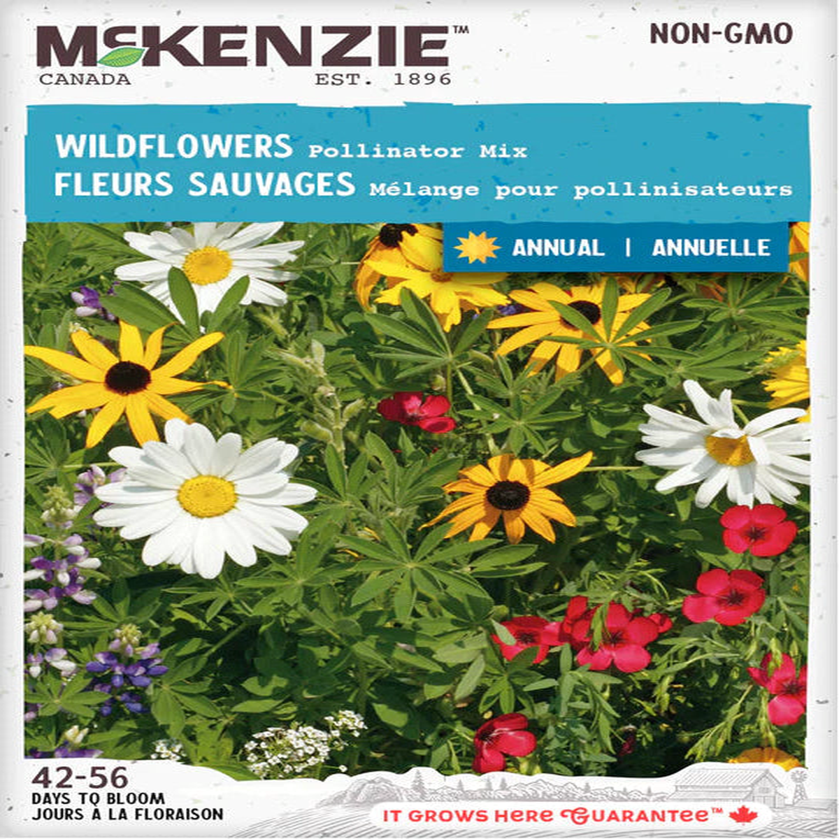Wildflowers Pollinator Mix - McKenzie Seeds