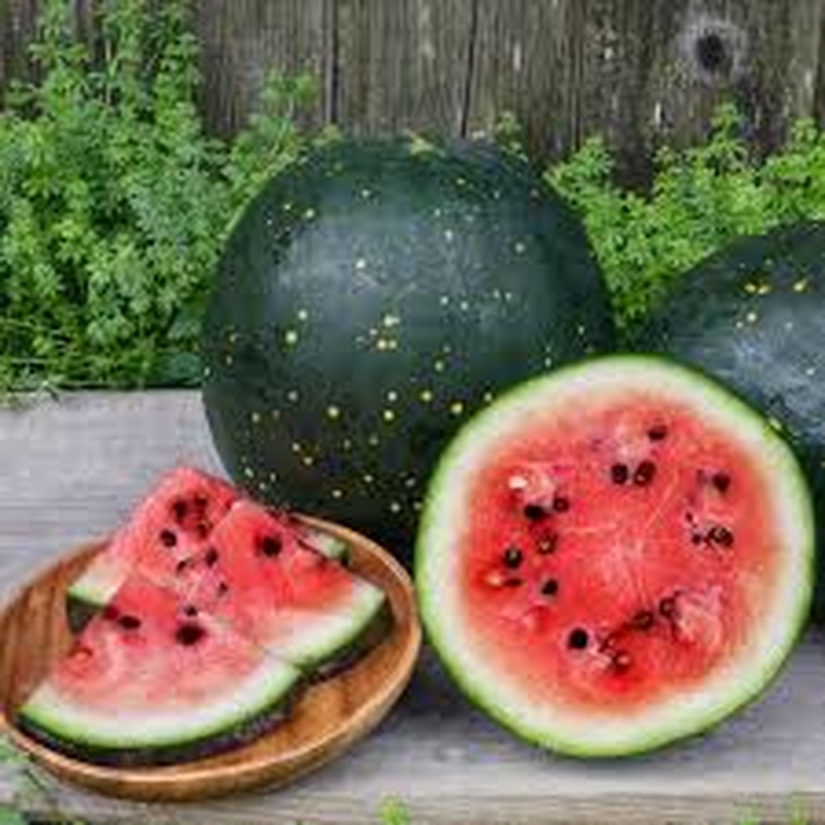15 Seeds Moon & Stars Watermelon (Citrullus lanatus) Unique Heirloom Variety with Yellow Spots and Sweet Red Flesh