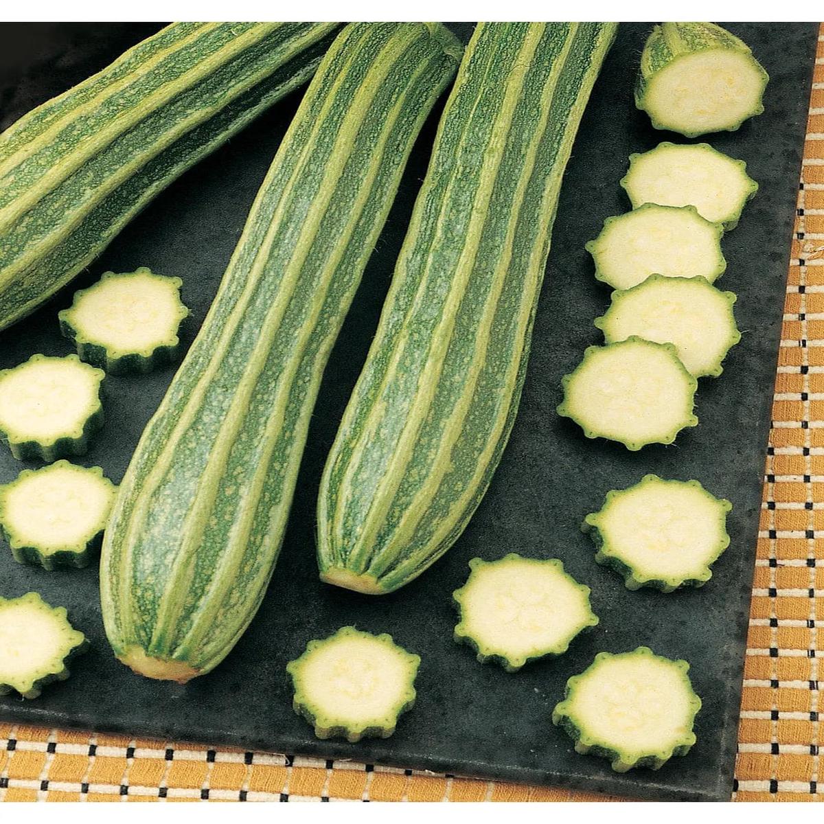 Zucchini Italian Ribbed - Burpee Seeds