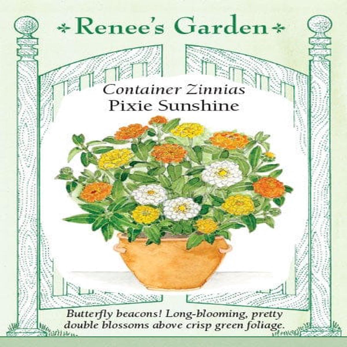 Zinnia Pixie Sunshine - Renee's Garden
