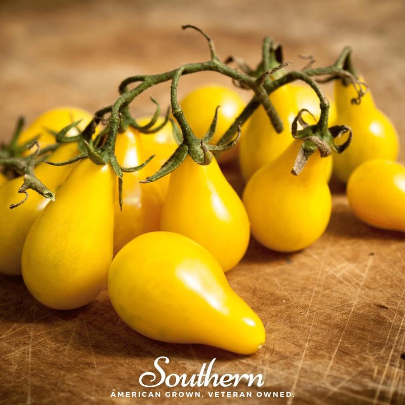 Yellow Pear Tomato  50 Seeds