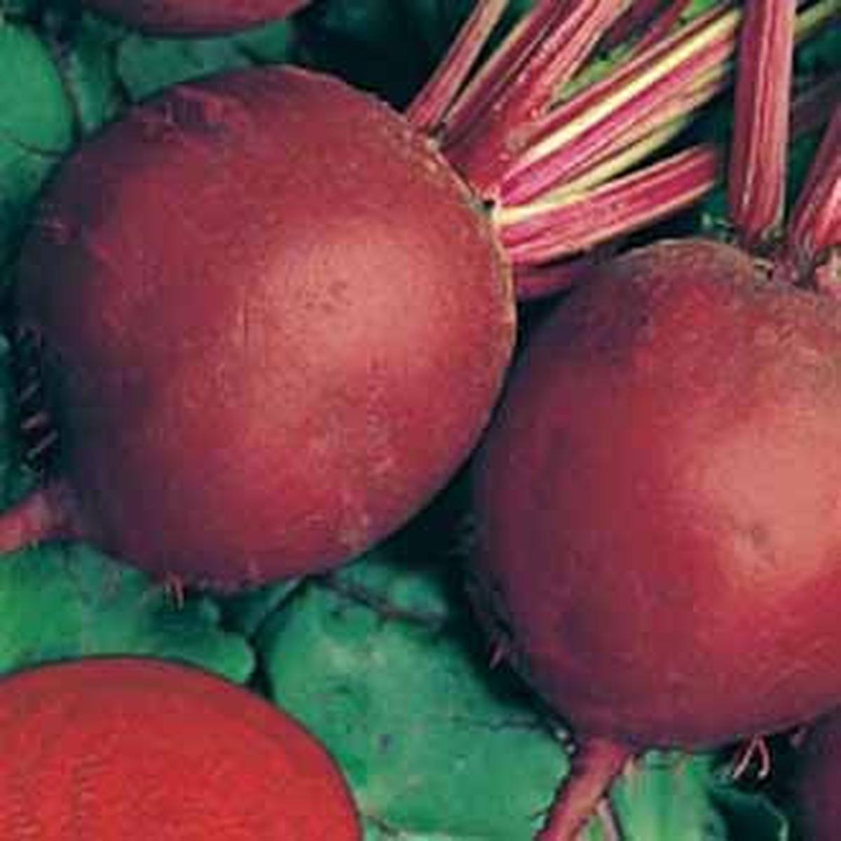 BEETROOT Detroit 2