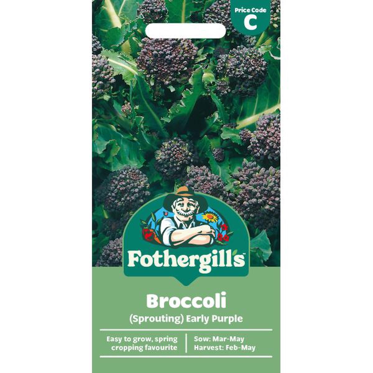 Broccoli (Sprouting) Early Purple Sprouting Seeds