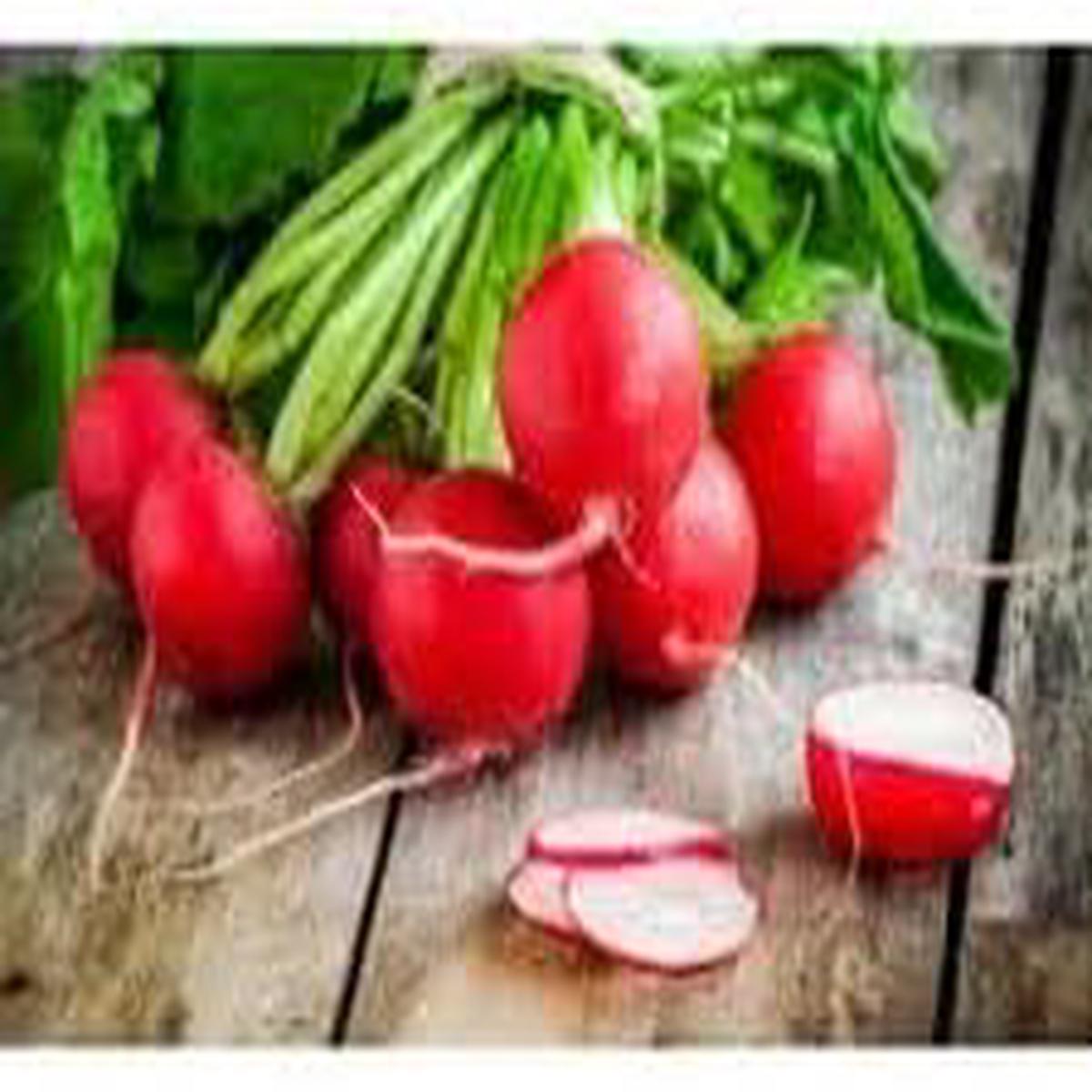 German Giant Radish Seeds for Planting  Heirloom, Non-GMO, Crisp Organic Garden Seeds with High Germination and Quick Harvest