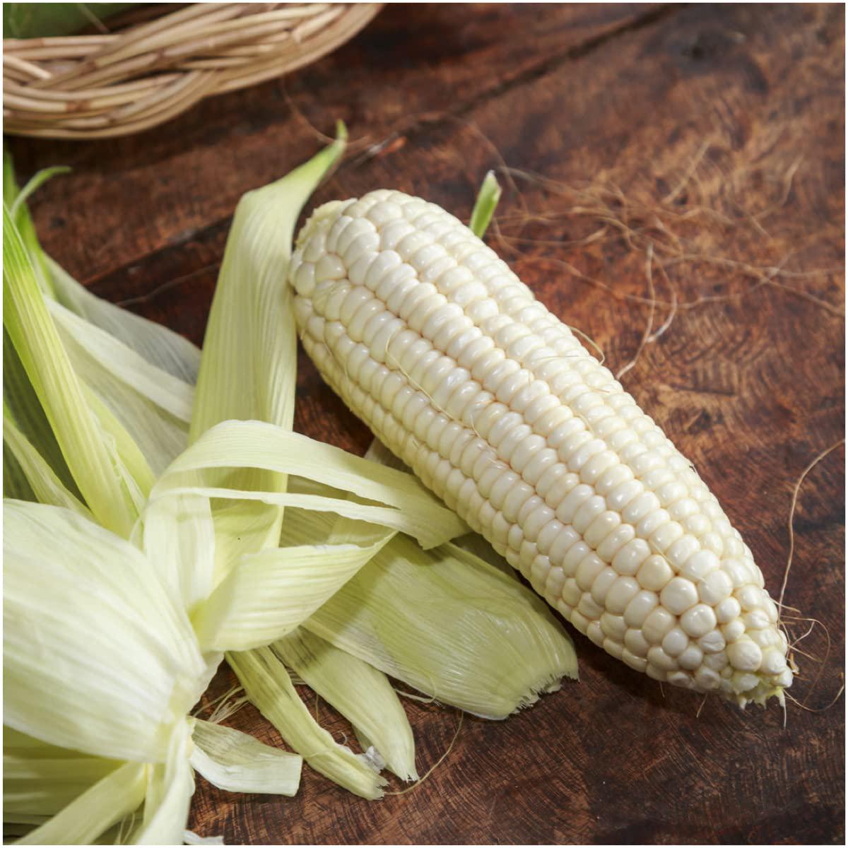 Sweet Corn Seeds for Planting  Silver Queen Variety, Heirloom, Non-GMO, Annual