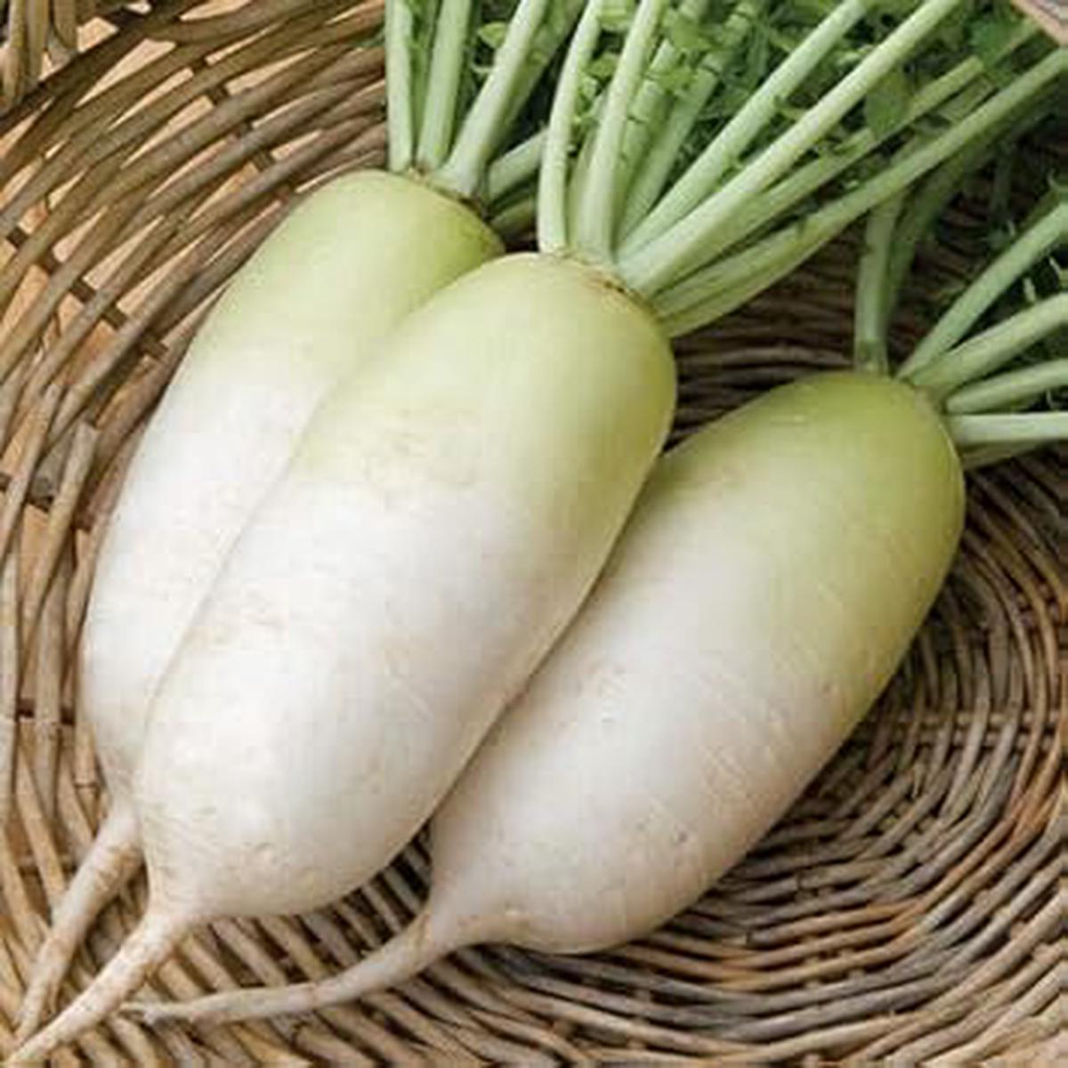 White Radish Seeds for Planting Heirloom, Non-GMO, Organic Garden Seeds Crisp Roots, High Germination