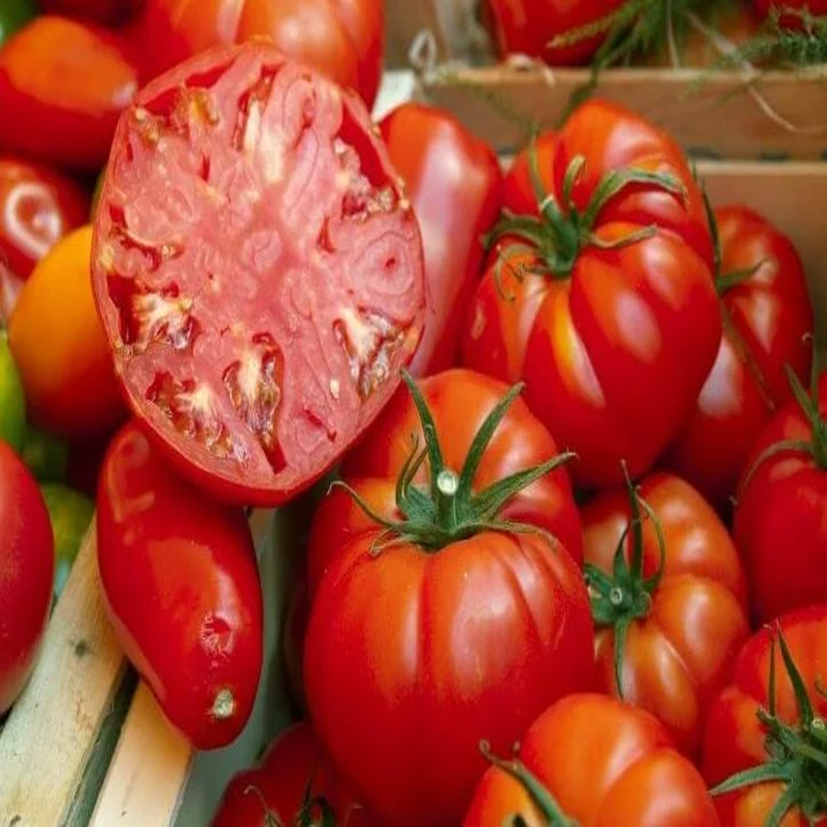 25 Organic Red Beefsteak Tomato Heirloom Seeds
