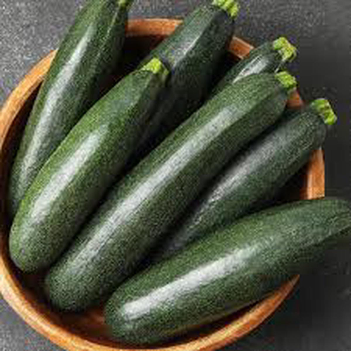 Zucchini Squash Seeds Black Variety Heirloom, Non-GMO, Easy to Grow, Summer Squash