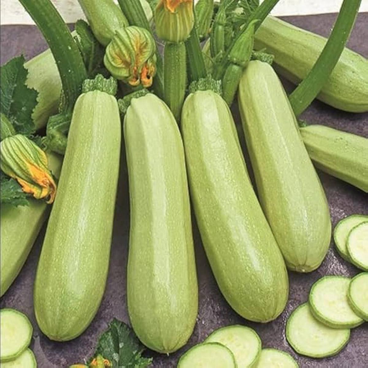 Zucchini Seeds for Planting  Heirloom, Non-GMO, High Yield, Summer Squash Variety