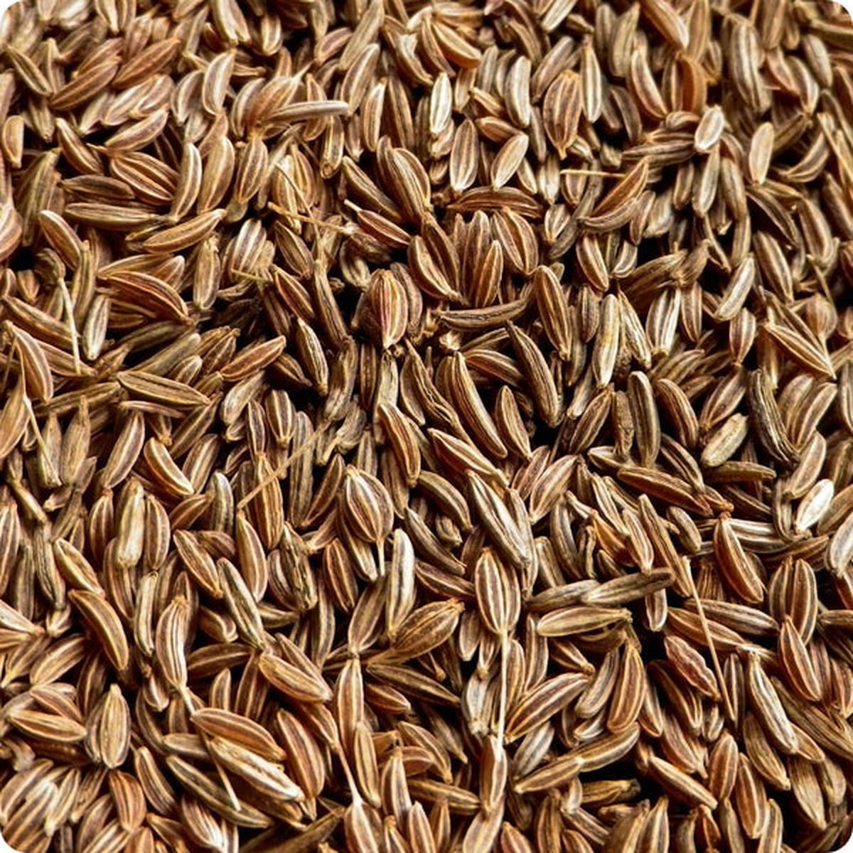 Caraway Seeds - Arterner (Carum carvi)