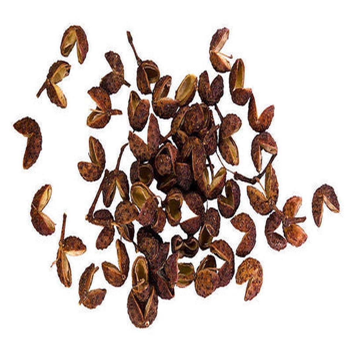 Szechuan Pepper (Peppercorn, Sichuan, Zanthoxylum bungeanum) Spice Seeds