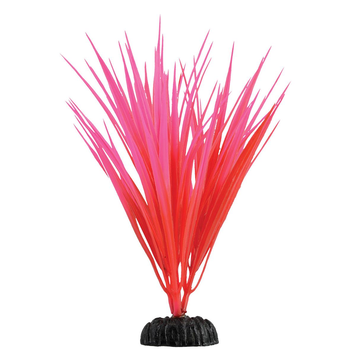 Underwater Treasures Rose Nile Grass - 7.5 inch