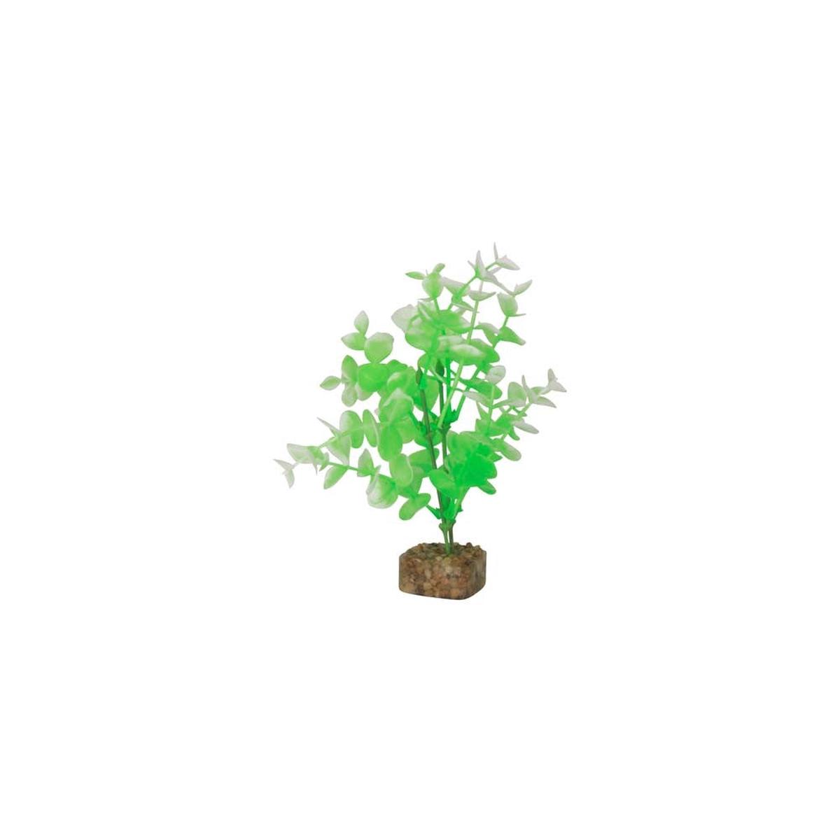 Tetra GloFish Plant Green/White - Medium