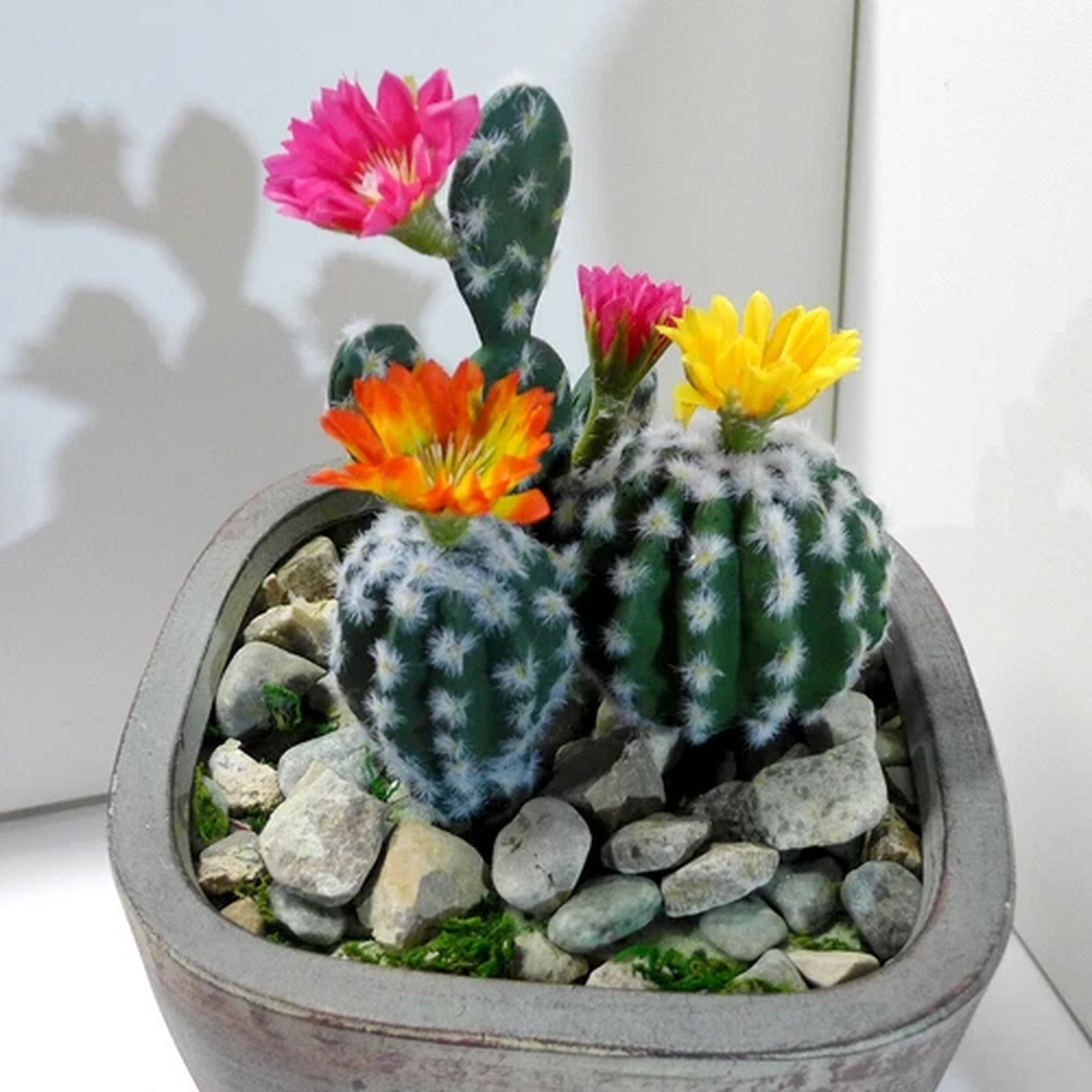3 Pcs Artificial Plants Blooming Cactus colors Flower Flocking Succulents (#106)