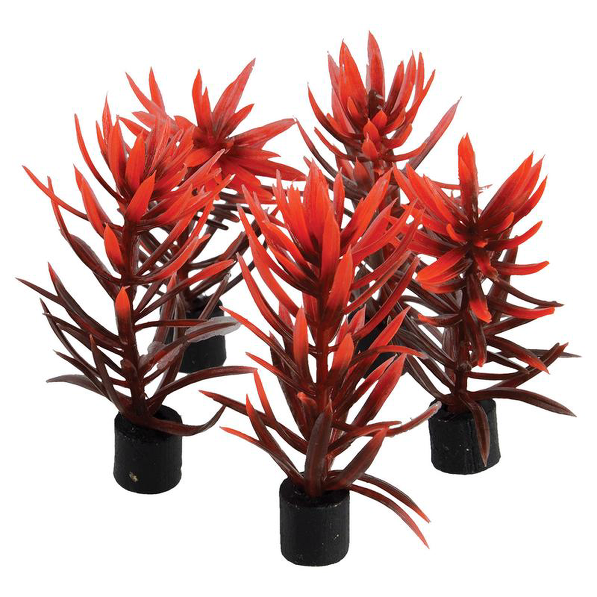 Underwater Treasures Mini Plant Red and Brown 38221 5 pack