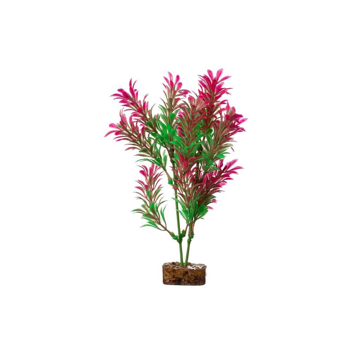 Tetra GloFish Plant Green/Pink - Medium