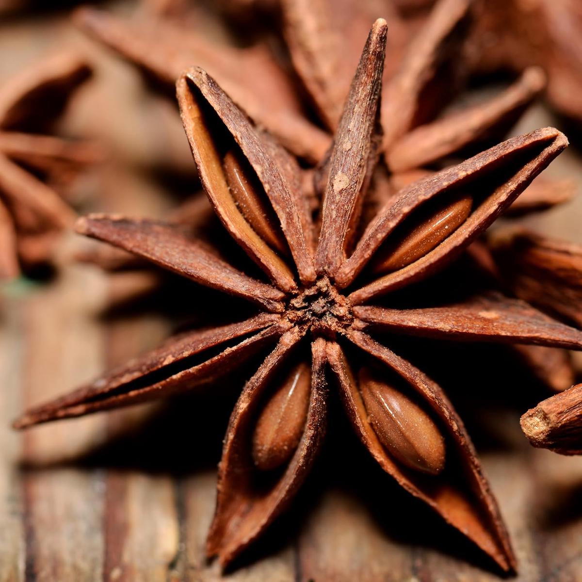 Star Anise Herb Seeds  Heirloom, Non-GMO, Easy to Grow